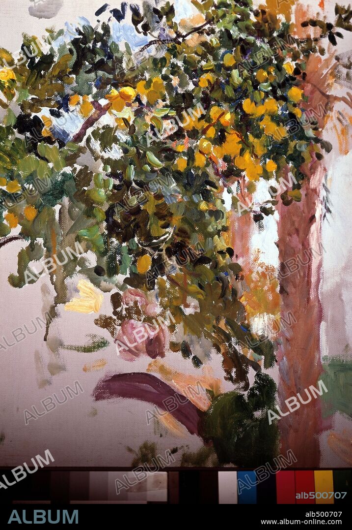 JOAQUIN SOROLLA. Limonero de Elche. Oleo sobre lienzo, 1916.