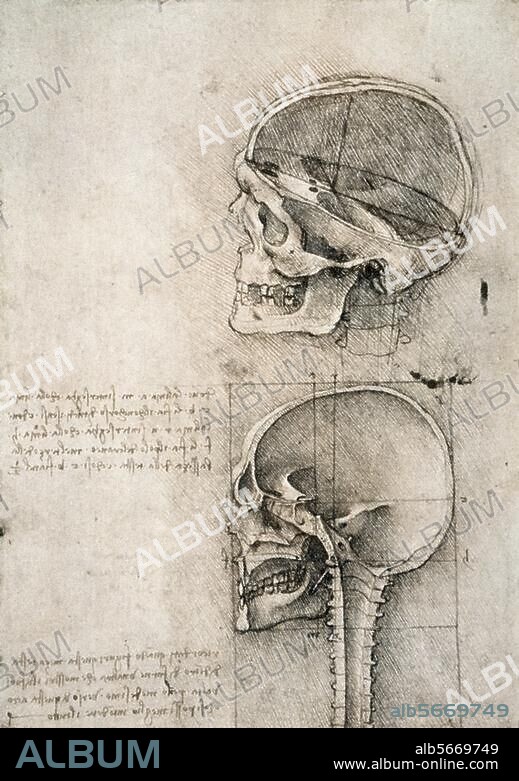 Leonardo da Vinci. 1452-1519. Anatomical studies: longitudinal and cross section of the skull with the "senso commune" (centre of all senses). Pen and ink over black chalk. 188 × 134 mm. Atlas of Anatomical Studies, folio 43 r. (R.L. 19057r). Windsor, Castle, Royal Library.