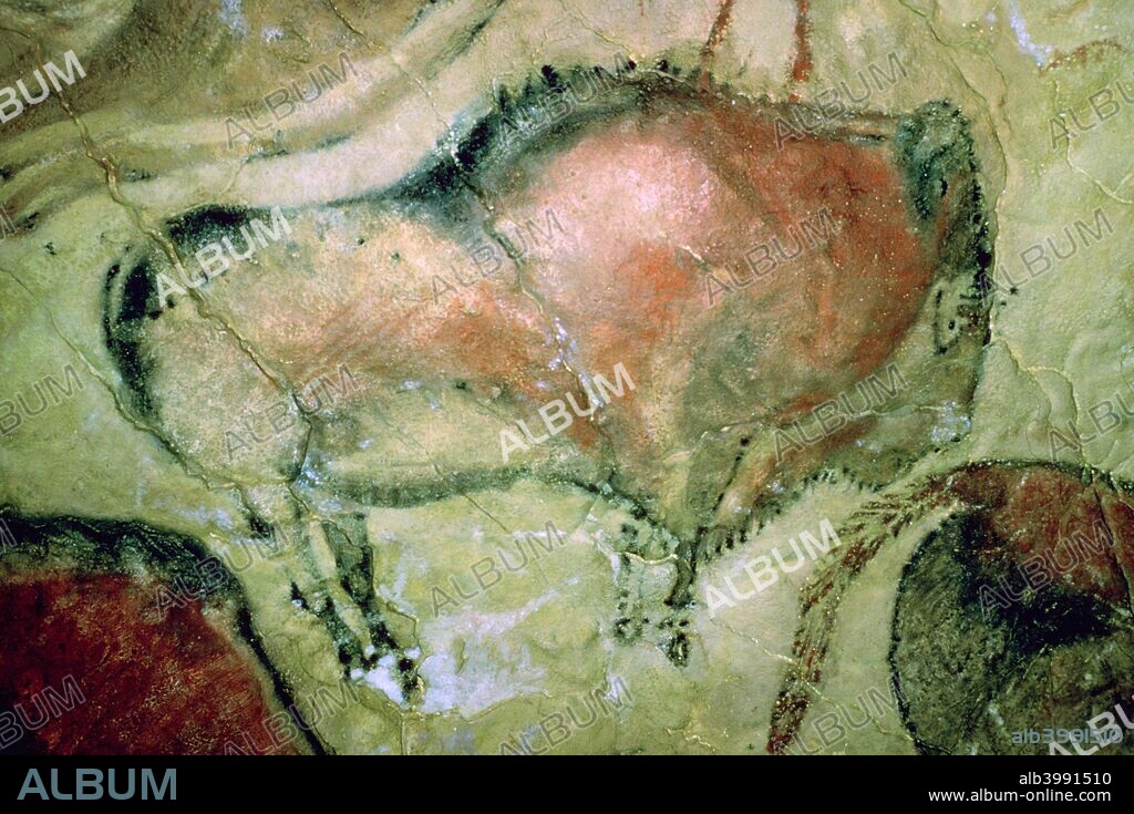 Paleolithic cave-painting of bison from Altamira, Spain.