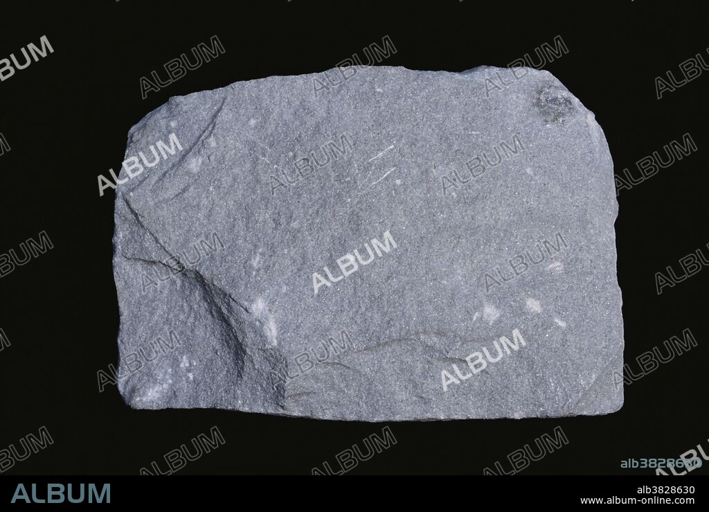 Argillaceous sandstone from Portageville, New York.