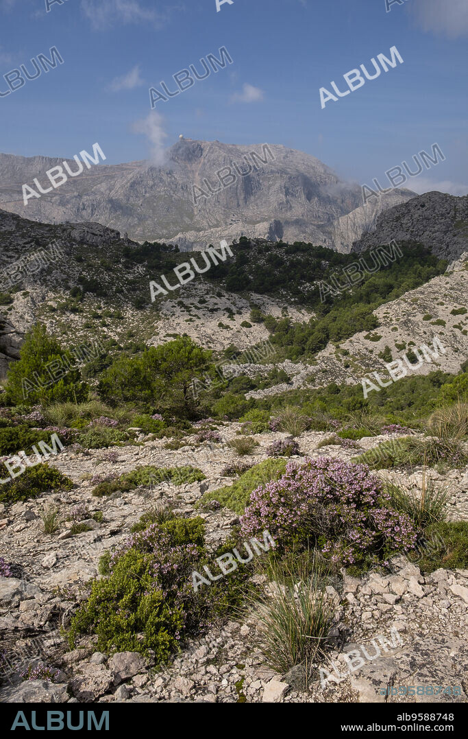 Tramuntana mountain range, Mallorca, Balearic Islands, Spain.