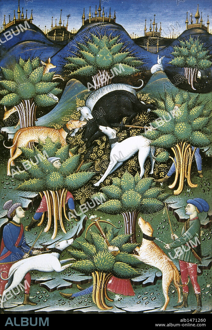 Wild boar hunting. Miniature of a treatise on falconry and hunting, 1459. Condé Museum. Château de Chantilly. France.