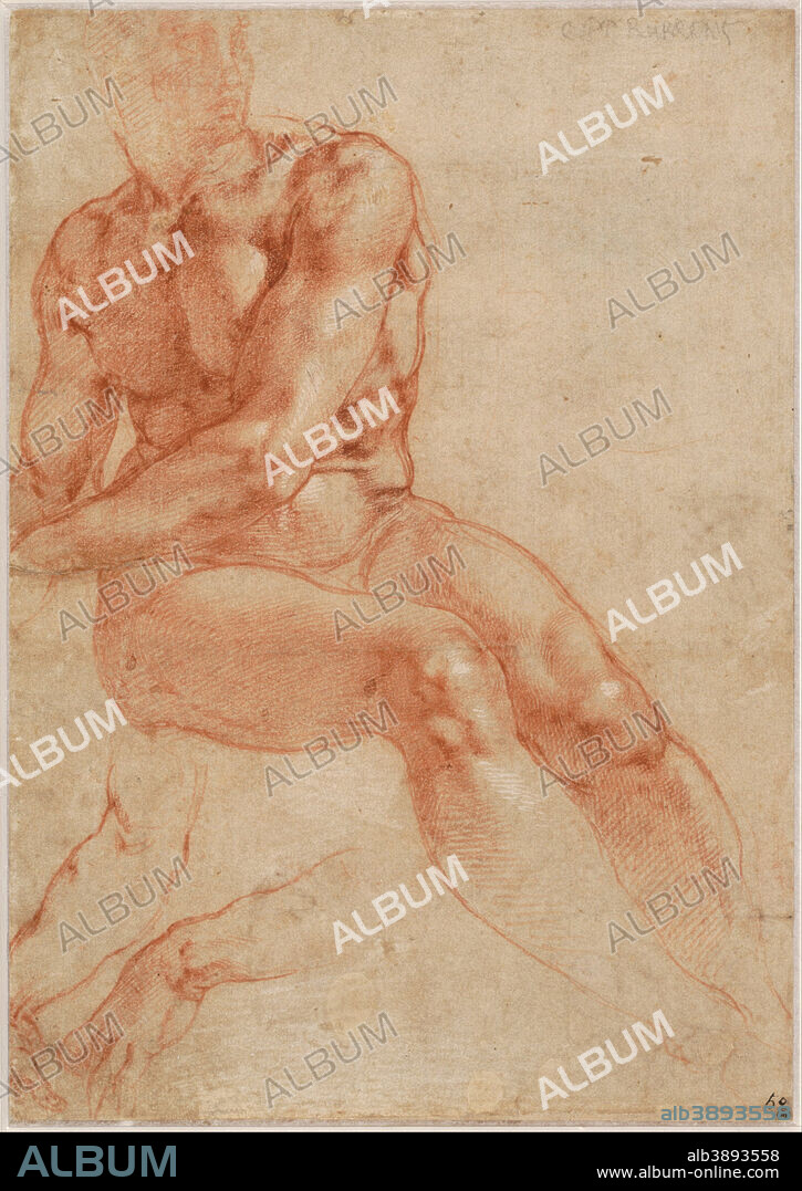 MIGUEL ANGEL. Seated Young Male Nude and Two Arm Studies (recto), c. 1510-11. Date/Period: Ca. 1510-11. Red chalk, heightened with white, over traces of a slate-stylus preliminary drawing.