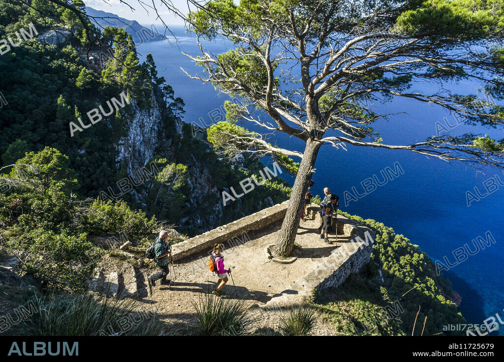 Pi's viewpoint, -Mirador Es Niu Des Voltor- Valldemossa, Tramuntana Mountains, Majorca, Balearic Islands, Spain, Europe.