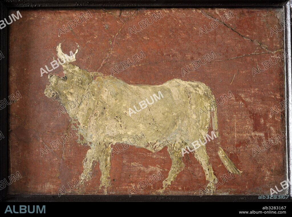 Pintura romana. Toro de Apis con media luna entre los cuernos. Divinidad asimilida y de origen egipcia. 40-50 a. C. Insulas occidentales, Pompeya. Museo Arqueológico Nacional. Nápoles. Italia.