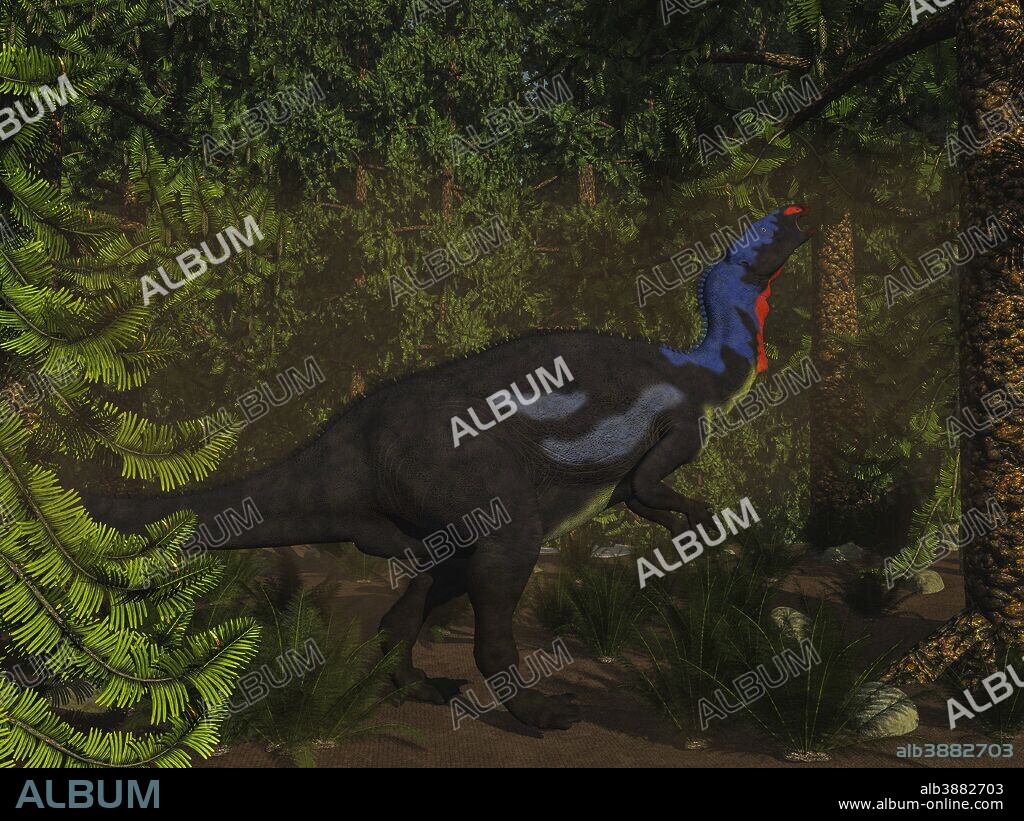 Camptosaurus dinosaur eating in a Wollemia pine forest.