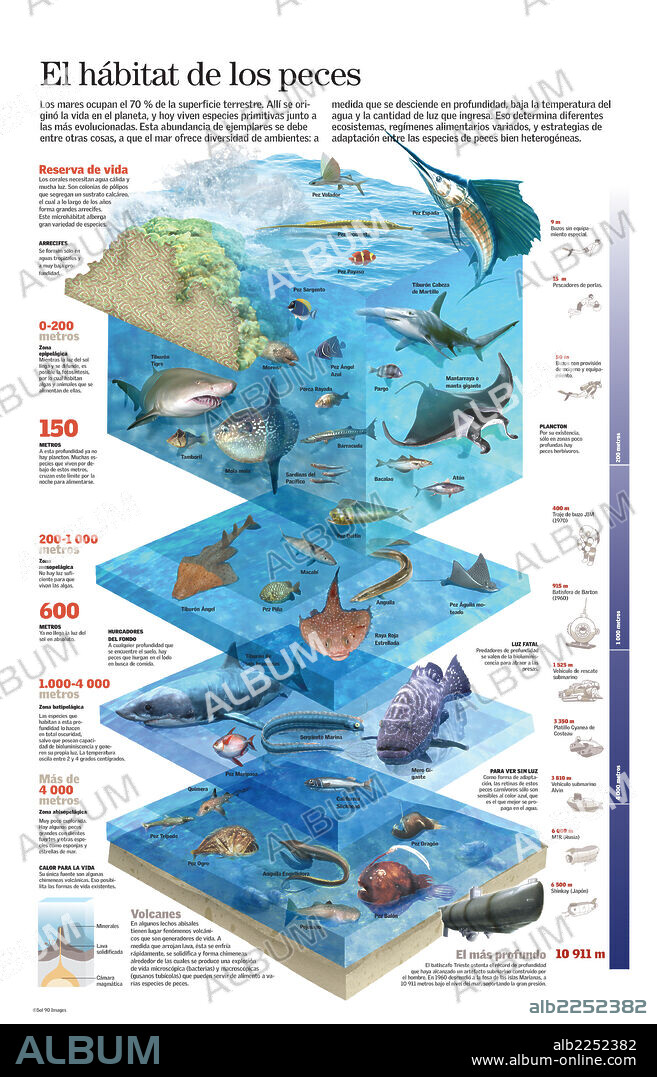 El hábitat de los peces. Infografía del fondo marino y de las especies de peces que viven en él según la profundidad.