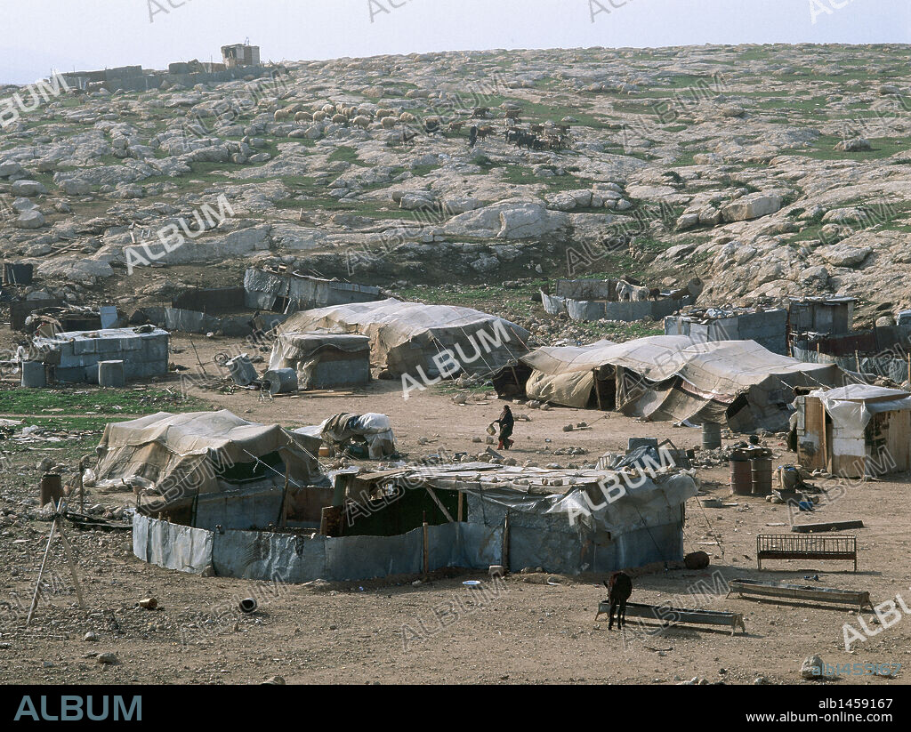 Campamento de beduinos cerca de Jerusalén. Israel.