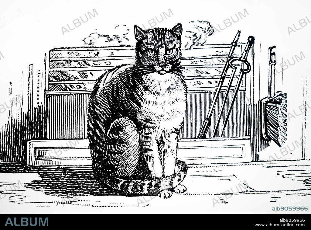 Illustration showing a cat sitting on the hearth-rug. The hearth-brush is hanging beside the grate and the fire-irons are propped up behind the fender. 1823.