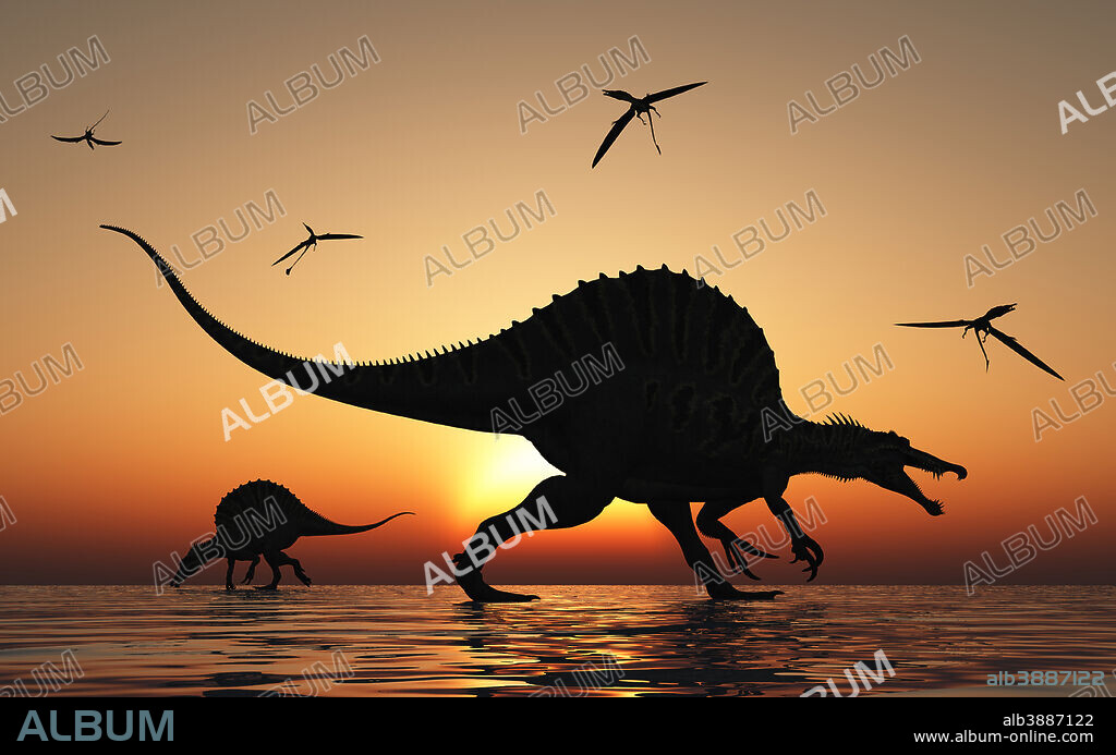 A pair of carnivorous Spinosaurus hunting for fish during the Cretaceous Period.