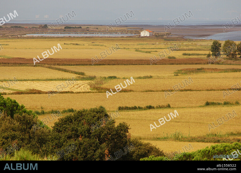 Portugal. Reserva Natural del Estuario del Sado. Distrito de Setúbal.