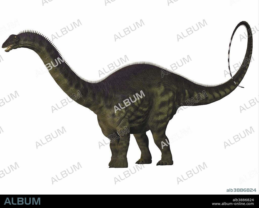 Apatosaurus, also called Brontosaurus, was a sauropod dinosaur of Western North America during the Jurassic Period.
