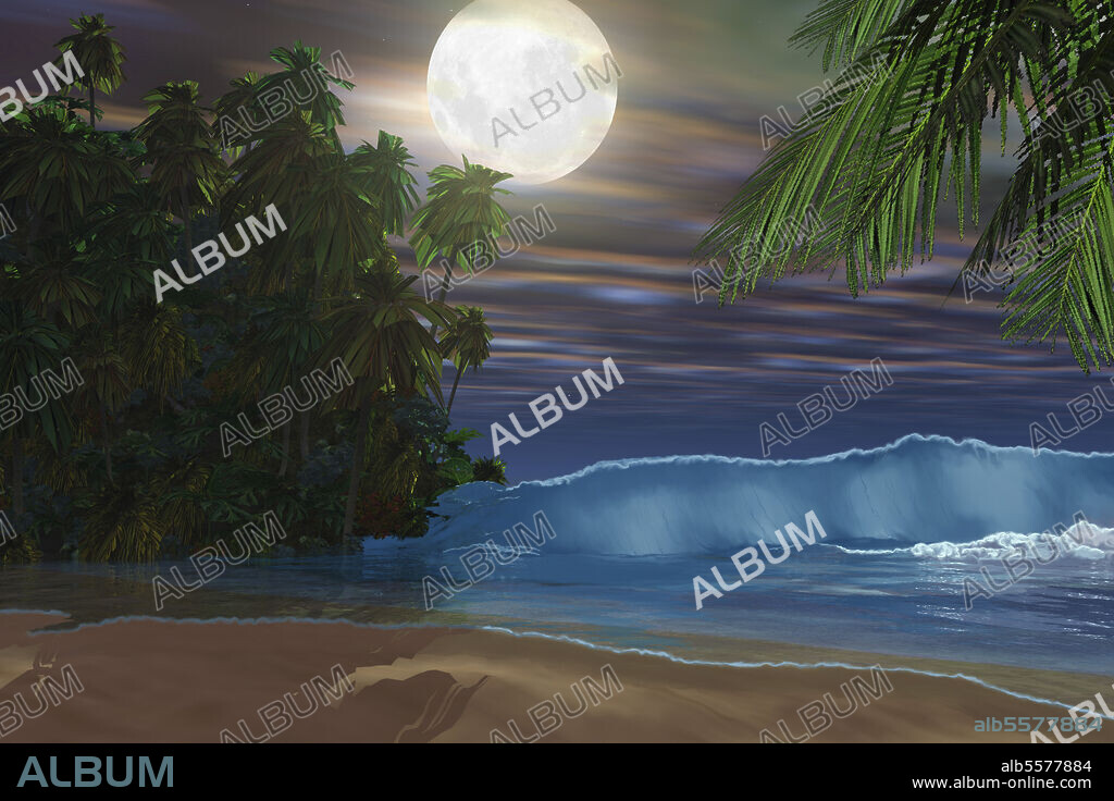 Moonlight shines down on this gorgeous beach during the night of the full moon.