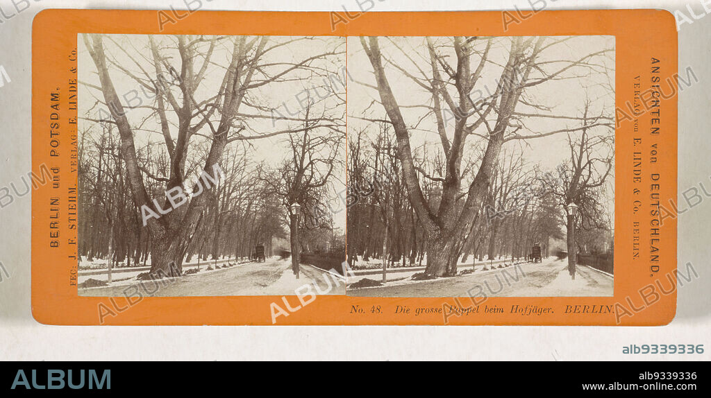 Large poplar next to the Hofjägerallee in the Großer Tiergarten, Berlin, Die grosse Pappel beim Hofjäger. Berlin (title on object), Ansichten von Deutschland, Berlin und Potsdam (series title on object), Johann Friedrich Stiehm (mentioned on object), publisher: E. Linde & Co (mentioned on object), Großer Tiergarten, publisher: Berlin, 1868 - 1870, cardboard, paper, albumen print, height 86 mm × width 176 mm.