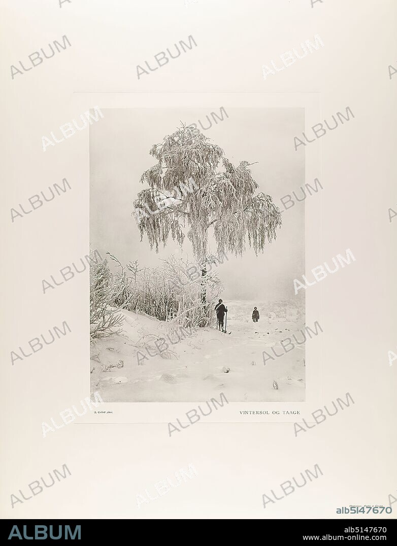 Robert Collett, Pacht & Crone, Vintersol og Taage from the portfolio Norske Motive. I fotografier efter naturen, Staatliche Landesbildstelle Hamburg, collection on the history of photography, cardboard, collotype, image size: height: 27,50 cm; width: 20,10 cm, inscription: recto: printed, below the photo: R. Collett phot. - VINTERSOL OG TAAGE, below right: Phototypi. Pacht & Crone, stamp: verso and left: stamp of the Staatliche Landesbildstelle Hamburg, upper left former location in lead, lower left in black: R. Colett, Denmark: Nordic motifs, landscape photography, nature photography, landscapes (temperate zone), winter, snow, skis (winter sports), man, trees, bushes, Norway.