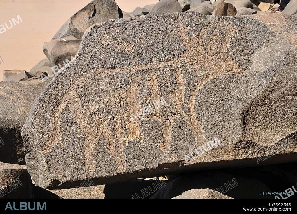Neolithic rock art, bull engraving, of the Tadrart, Tassili n'Ajjer National Park, Unesco World Heritage Site, Algeria, Sahara, North Africa, Africa.
