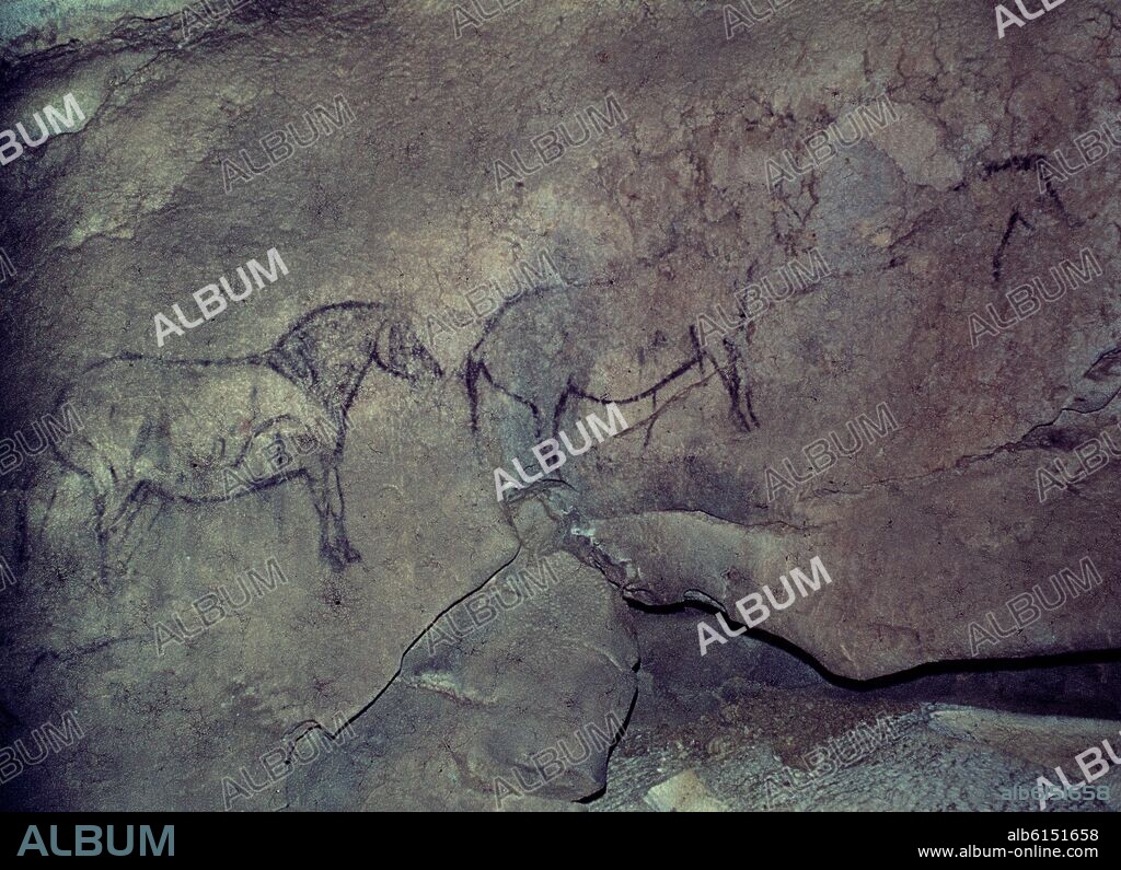 CABALLOS - PINTURAS RUPESTRES EN LA CUEVA DE EKAIN.