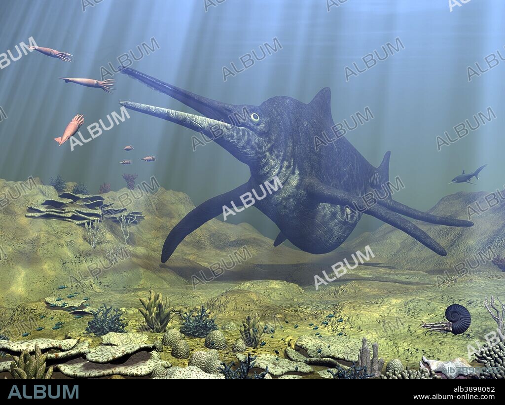 A massive, 30-ton Shonisaurus, the largest known ichthyosaur (marine reptile) attempts to make a meal of a school of squid-like Belemnites. On the far right is a prehistoric shark, and further below is an ancient Ammonite, another squid-like animal with a nautilus-like hard shell.. . 230 million years ago Panthalassa, the vast global ocean that surrounded the supercontinent Pangaea, was home to the ichthyosaurs, giant air-breathing reptiles that resembled fish and dolphins. Like modern day dolphins and whales, ichthyosaurs are believed to have evolved from land reptiles that moved back into the water. Ichthyosaurs are notable for having the largest eyes of any land or sea animal. The eye socket of one fossil Shonisaurus skull is over 3 feet in diameter.