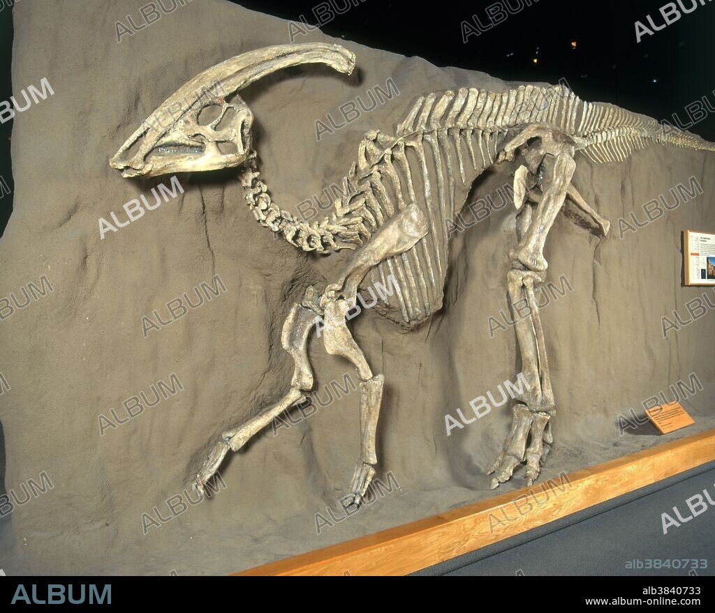 Parasaurolophus