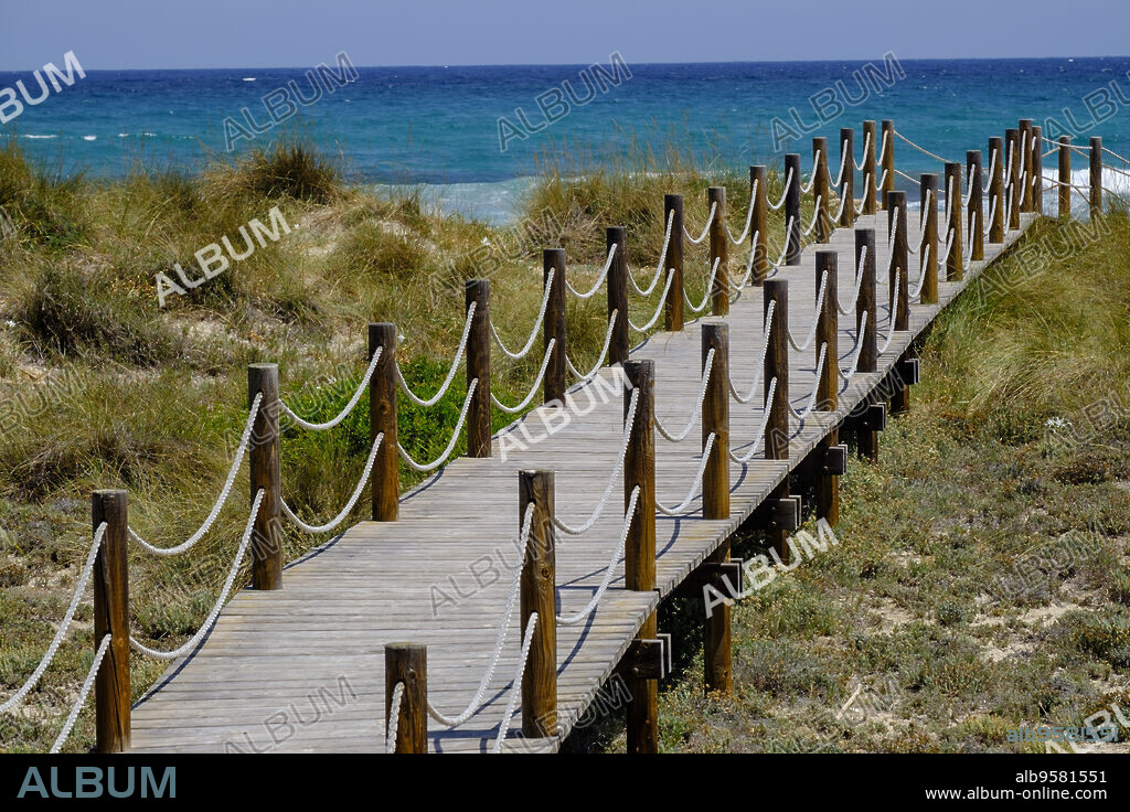 pasarelas de madera sobre las dunas, Son Serra de Marina ,Mallorca, balearic islands, Spain.