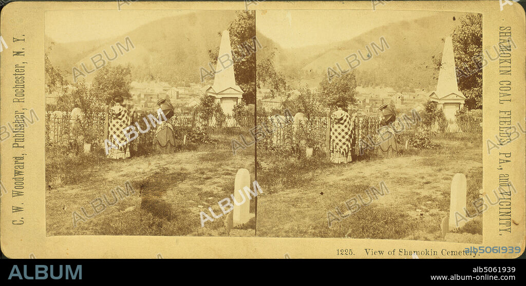 View of Shamokin Cemetery., Woodward, C. W. (Charles Warren), Pennsylvania, United States, Pennyslvania.