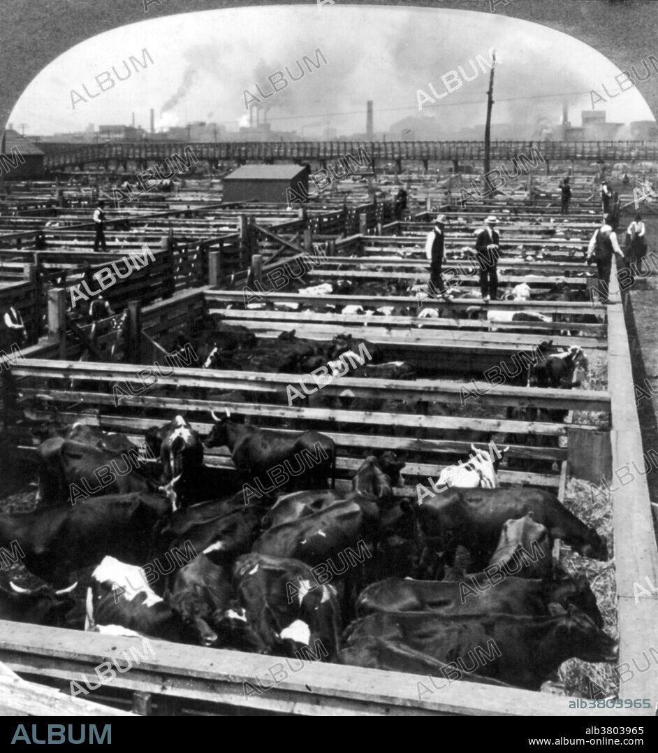Entitled: "A busy morning in the Great Union Stockyards." The Union Stock Yard & Transit Company was the meatpacking district in Chicago. The district was operated by a group of railroad companies that acquired swampland and turned it into a centralized processing area. Construction began in June 1865 with an opening on Christmas Day in 1865. By the 1890s, the railroad money behind the Union Stockyards was Vanderbilt money. The Union Stockyards became known as "hog butcher for the world" and the center of the American meatpacking industry for decades. The stockyards have become an integral part of the popular culture of Chicago's history. From the Civil War until the 1920s and peaking in 1924, more meat was processed in Chicago than in any other place in the world. The Yards closed at midnight on Friday, July 30, 1971, after several decades of decline during the decentralization of the meatpacking industry. The Union Stock Yard Gate was designated a Chicago Landmark in 1972, and a National Historic Landmark in 1981. Cropped stereograph, International View Company, 1905.