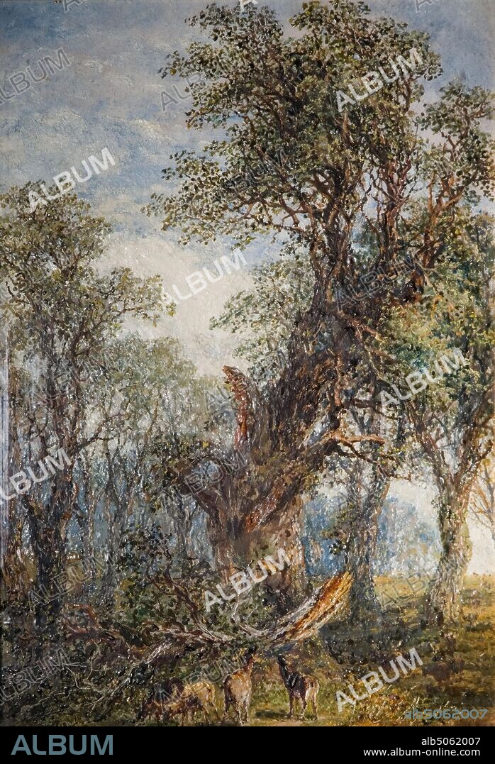 The Broken Bough, 1881 By Frederick Henry Henshaw, Tree, Oil Painting, Wildlife, Forest.