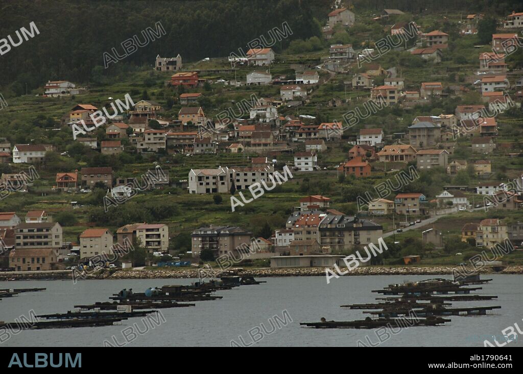 CRIADEROS DE MEJILLONES frente a la costa de Cangas do Morrazo. Provincia de Pontevedra. Galicia. España.