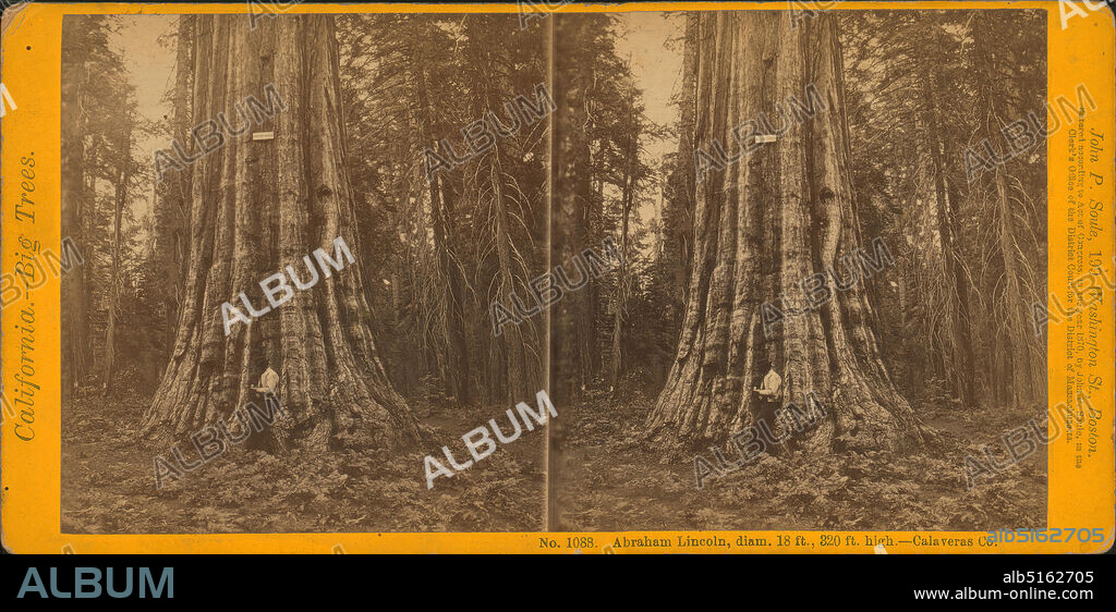 Abraham Lincoln, diam. 18 feet, 320 ft. high, Calaveras Co., still image, Stereographs, 1870, Soule, John P. (1827-1904).