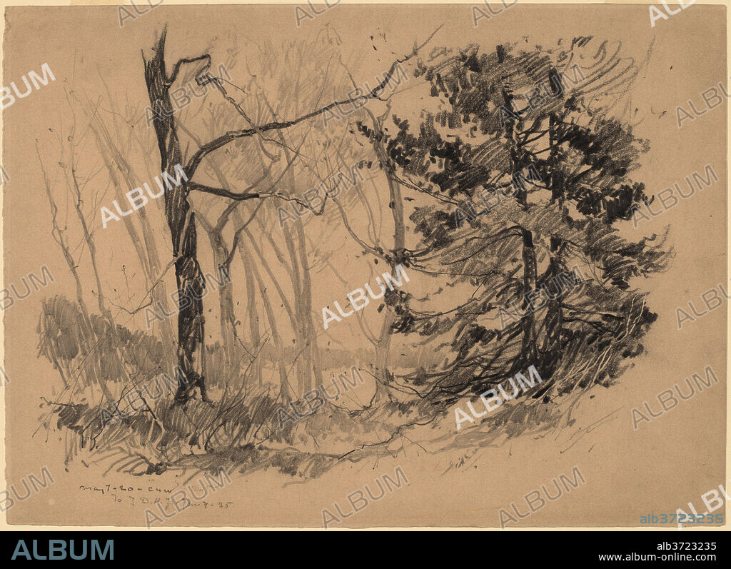 CHARLES H. WOODBURY. Wood Interior. Dated: 1920. Dimensions: overall (approximate): 28.1 x 38.8 cm (11 1/16 x 15 1/4 in.). Medium: graphite.