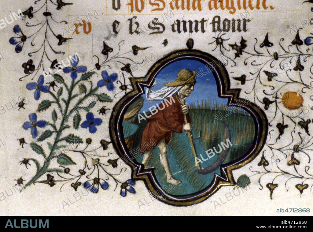 Juin : fenaison avec une faux. Enluminure tiree d'un livre d'Heures dit Lescalopier, datant du 15eme s. Manuscrit medieval conserve a la bibliotheque municipale d'Amiens. Credit : Collection JEAN VIGNE / KHARBINE-TAPABOR.