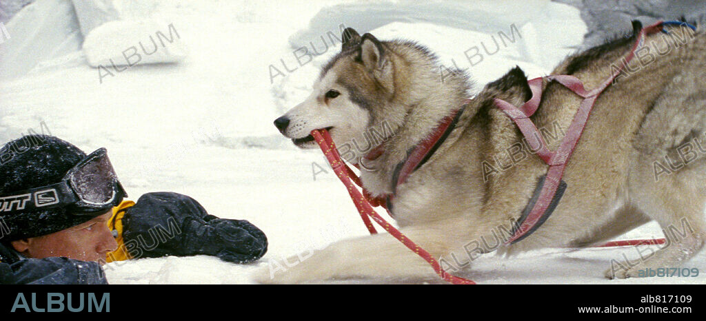 BRUCE GREENWOOD in EIGHT BELOW, 2006, unter der Regie von FRANK MARSHALL. Copyright WINKING PROD GMBH & CO. KG.