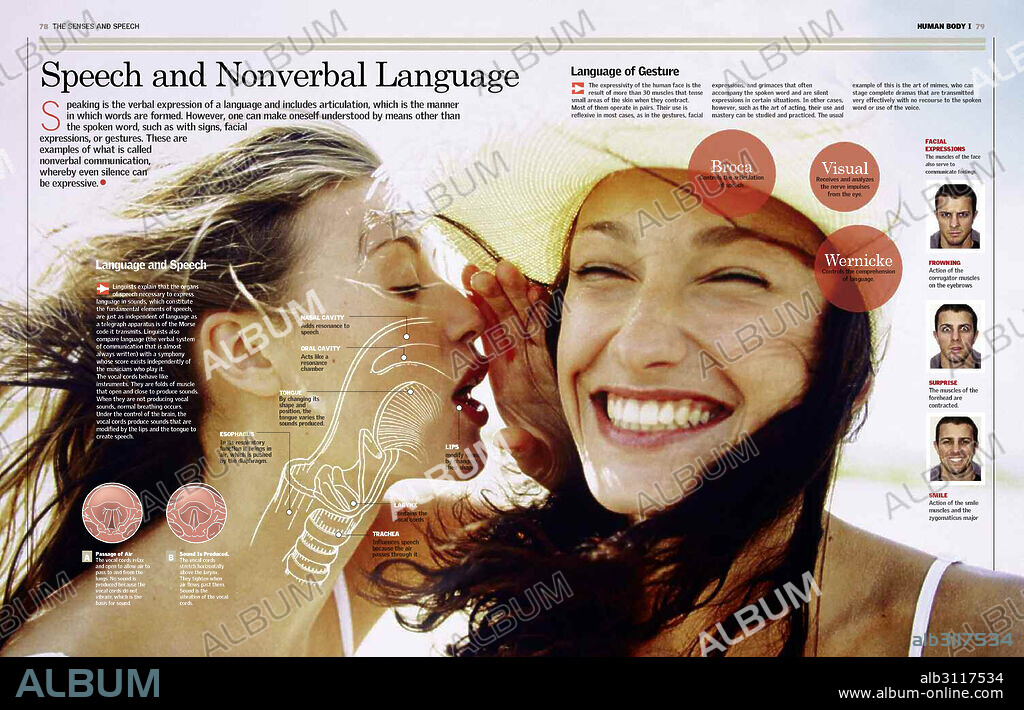 Habla y lenguaje no verbal. Expone las formas de comunicación corporales mediante el habla y el lenguaje no verbal. Describe el mecanismo del habla e ilustra el lenguaje gestual con diferentes expresiones faciales.