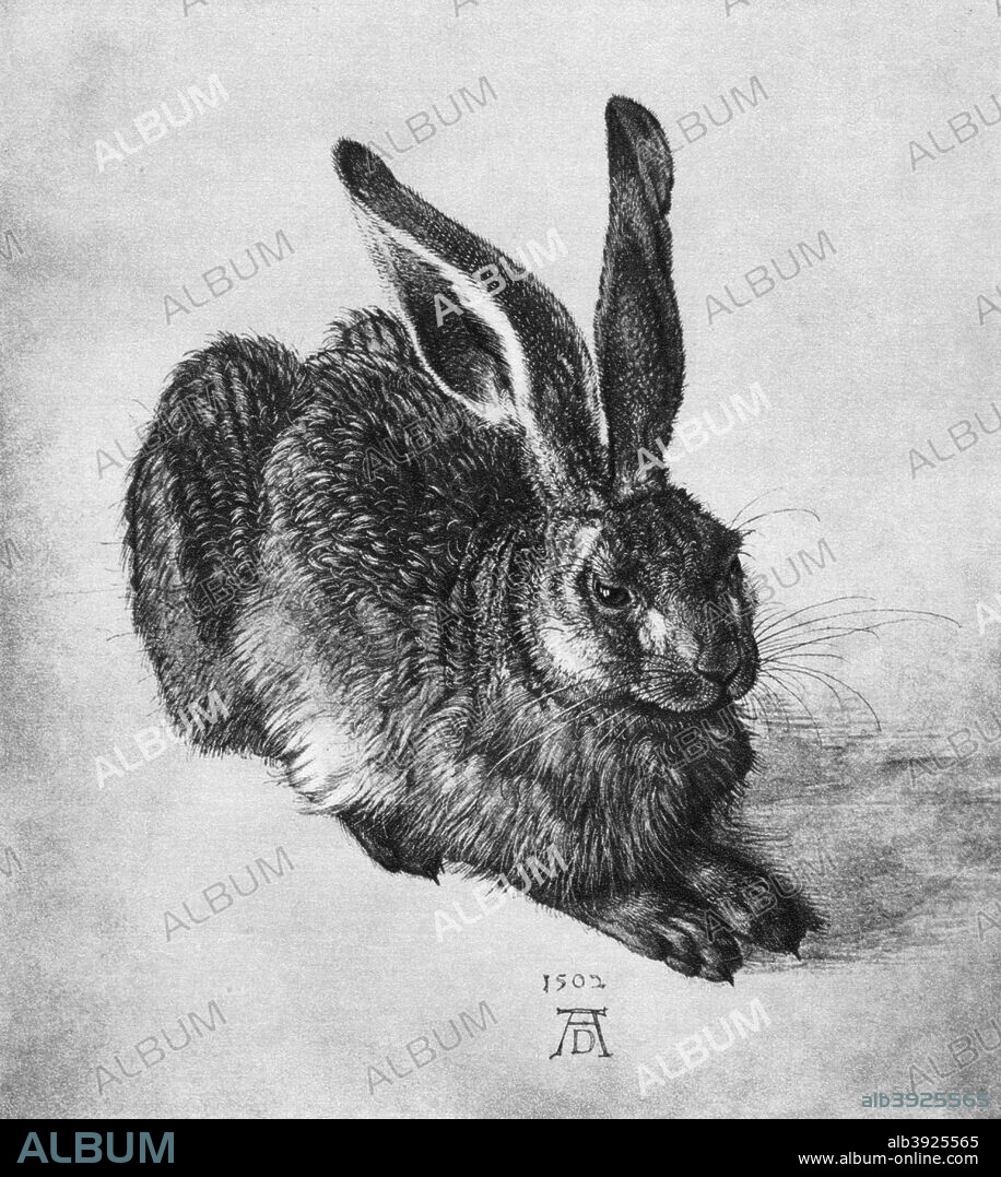 'Hare', 1502, (1936). Found in the collection of the Graphische Sammlung Albertina, Vienna, Austria. A print from Durer, Und Seine Zeit, by Wilhelm Waetzoldt, Grosse Phaidon Ausgabe, 1936.