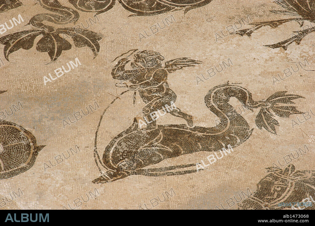 ARTE ROMANO. ITALIA. OSTIA ANTICA. Ciudad romana en la costa del mar Tirreno y antiguo puerto comercial de la Roma Imperial. TERMAS DE NEPTUNO. Fechadas entre el siglo I-II d. C. Detalle del MOSAICO del "TRIUNFO DE NEPTUNO". AMORCILLO CABALGANDO ENCIMA DE UN DELFIN. Alrededores de Roma.