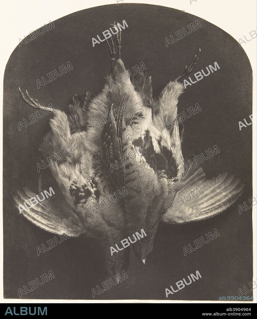 WILLIAM FREDERICK LAKE PRICE. [The First of September] / [A Brace of Grouse]. Date/Period: 1857. Print. Photogalvanotype. Height: 292 mm (11.49 in); Width: 244 mm (9.60 in).