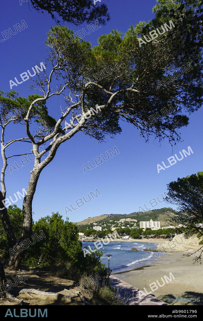 Peguera, playa la Romana, Calvia,Mallorca, islas baleares, Spain.