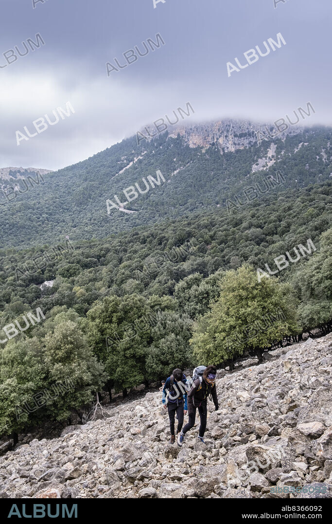 three hikers, Montnàber oak forest, Fornalutx, Mallorca, Balearic Islands, Spain.