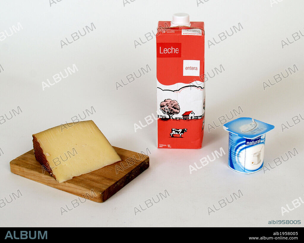 BODEGON PRODUCTOS LACTEOS. QUESO, LECHE Y YOGURT.
