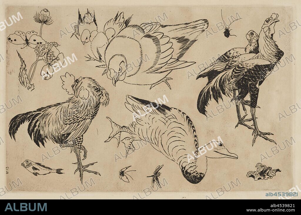 Roosters, Ducks, etc., Félix Bracquemond (French, 1833-1914), After Katsushika Hokusai ???? (Japanese, 1760-1849), 1866, ink on paper, etching, 10-1/2 x 16-1/4 in. (image) 14 x 20-3/8 in. (sheet), series, Service Rousseau.
