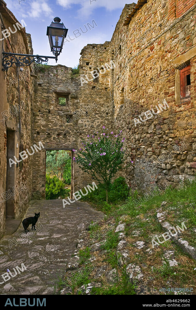 The hamlet of Ceralto: a narrow lane with a streetlamp and a small black cat.