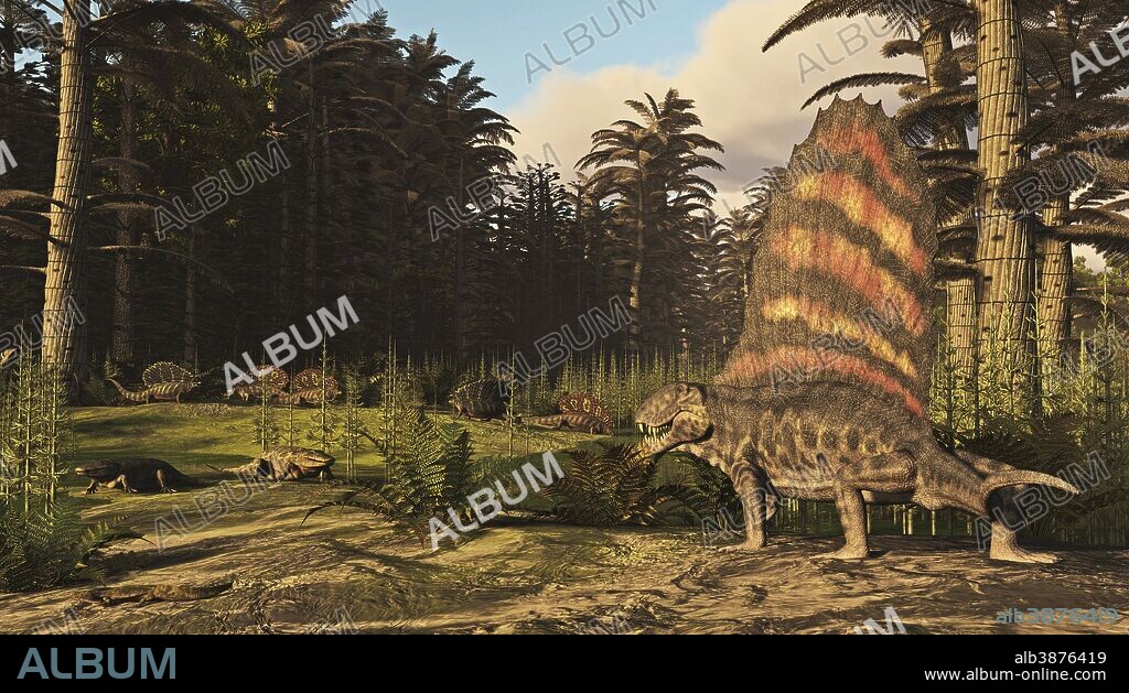 A group of Dimetrodon's hunting in a Permian era environment. They lived in the early Permian about 290-270 million years ago. Known mostly from the southwest of the United States such as Texas and Oklahoma. Species ranged in size from 2 feet to 16 feet long.