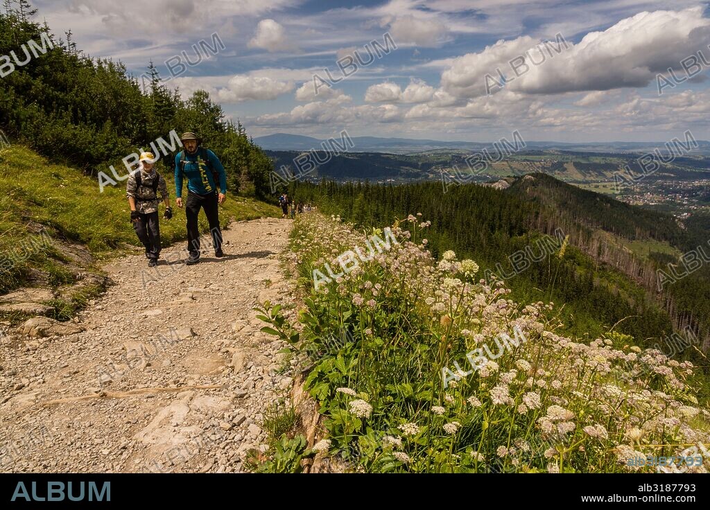 Valle de gasienicowa , parque nacional Tatra, voivodato de la Pequeña Polonia, Cárpatos,  Polonia, europe.