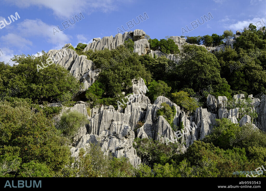 lapiaz de Es Pixarells, Escorca, Mallorca, balearic islands, spain, europe.