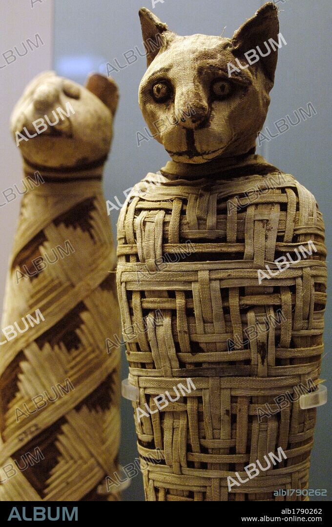 ARTE EGIPCIO. PERIODO ROMANO. MOMIA DE UN GATO. Fechada después del año 30 a. C. Procedencia desconocida. Museo Británico. Londres. Inglaterra. Reino Unido.