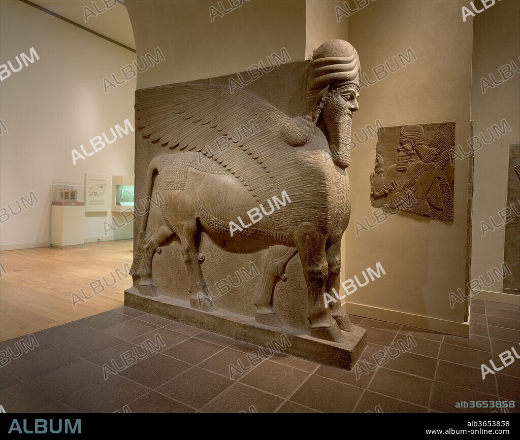 Human-headed winged bull (lamassu). Culture: Assyrian. Dimensions: H. 123 1/2 x W. 26 1/2 x D. 122 in., 15999.8 lb. (313.7 x 67.3 x 309.9 cm, 7257.4 kg). Date: ca. 883-859 B.C..
From the ninth to the seventh century B.C., the kings of Assyria ruled over a vast empire centered in northern Iraq. The great Assyrian king Ashurnasirpal II (r. 883-859 B.C.), undertook a vast building program at Nimrud, ancient Kalhu. Until it became the capital city under Ashurnasirpal, Nimrud had been no more than a provincial town.
The new capital occupied an area of about nine hundred acres, around which Ashurnasirpal constructed a mudbrick wall that was 120 feet thick, 42 feet high, and five miles long. In the southwest corner of this enclosure was the acropolis, where the temples, palaces, and administrative offices of the empire were located. In 879 B.C. Ashurnasirpal held a festival for 69,574 people to celebrate the construction of the new capital, and the event was documented by an inscription that read: "the happy people of all the lands together with the people of Kalhu--for ten days I feasted, wined, bathed, and honored them and sent them back to their home in peace and joy."
The so-called Standard Inscription that ran across the surface of most of the reliefs described Ashurnasirpal's palace: "I built thereon [a palace with] halls of cedar, cypress, juniper, boxwood, teak, terebinth, and tamarisk [?] as my royal dwelling and for the enduring leisure life of my lordship." The inscription continues: "Beasts of the mountains and the seas, which I had fashioned out of white limestone and alabaster, I had set up in its gates. I made it [the palace] fittingly imposing." Among such stone beasts is the human-headed, winged bull pictured here. The horned cap attests to its divinity, and the belt signifies its power. The sculptor gave these guardian figures five legs so that they appear to be standing firmly when viewed from the front but striding forward when seen from the side. Lamassu protected and supported important doorways in Assyrian palaces.