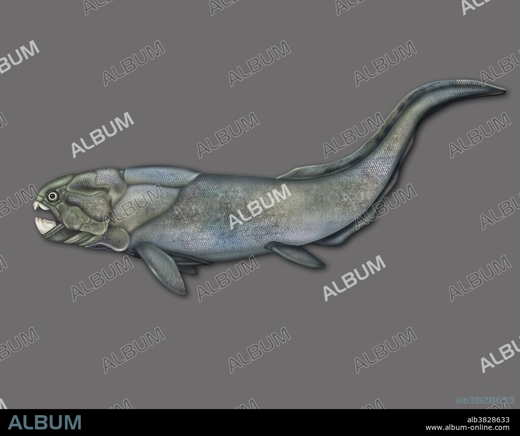 Illustration of a placoderm. Placoderms are an extinct class of armored prehistoric fish, which lived from the Silurian to the end of the Devonian Period. Their head and thorax were covered by articulated armored plates and the rest of the body was scaled or naked, depending on the species.