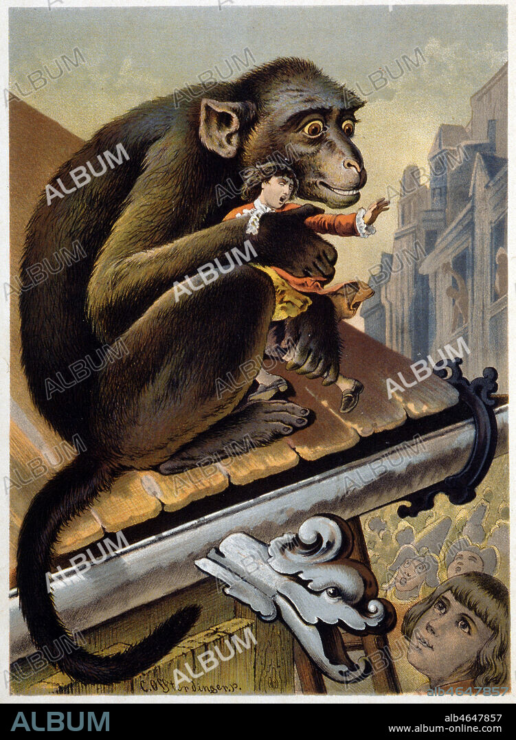 Les Voyages de GULLIVER par SWIFT : 2eme partie Voyage a Brobdingnac: Gulliver au pays des geants (Un singe enleve Gulliver). Illustration de Karl OFFTERDINGER (1829-1889) pour l'oeuvre de Jonathan SWIFT (1667-1745), edition de 1880. Credit : Collection Grob/KHARBINE-TAPABOR.