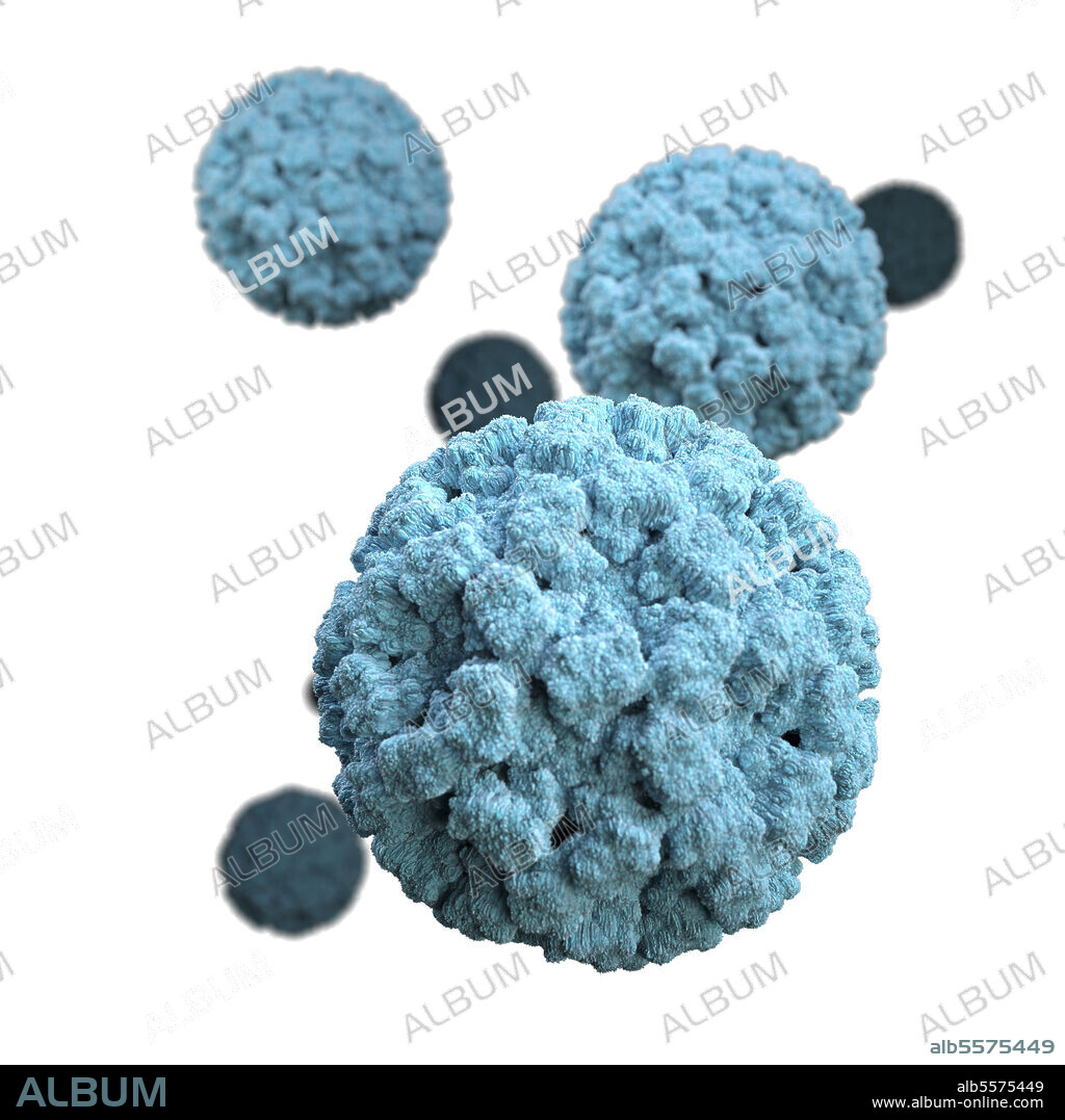 3D illustration of norovirus virions set against a white background. This artistic recreation is based upon scanning electron microscopic (SEM) imagery.