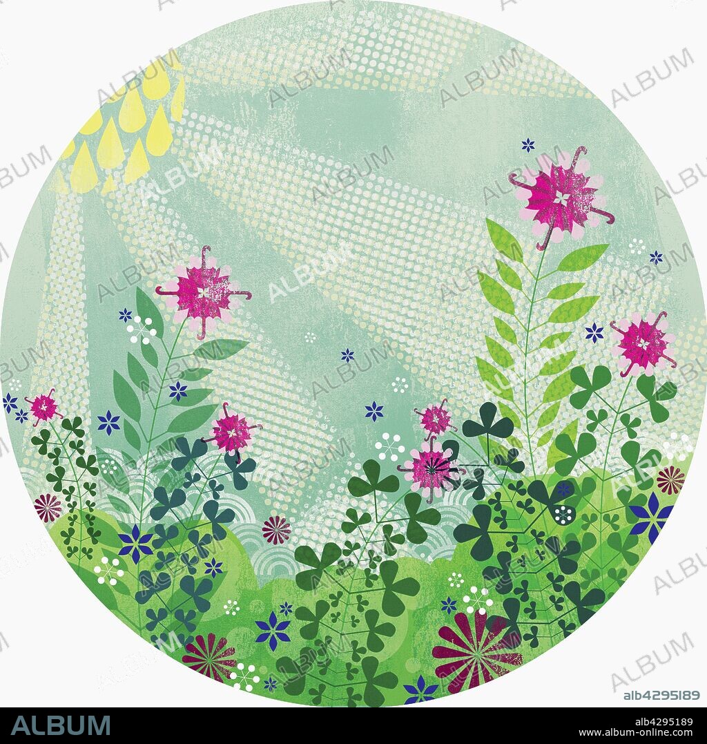 Sun shining on summer flowers in meadow.